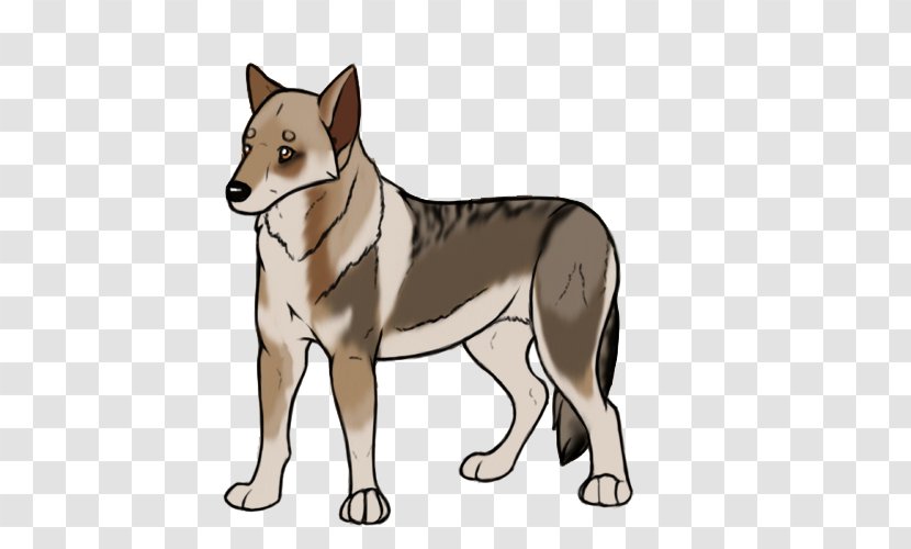 Saarloos Wolfdog Czechoslovakian Canaan Dog Norwegian Lundehund Shikoku - Crying Wolf Backgrounds Transparent PNG