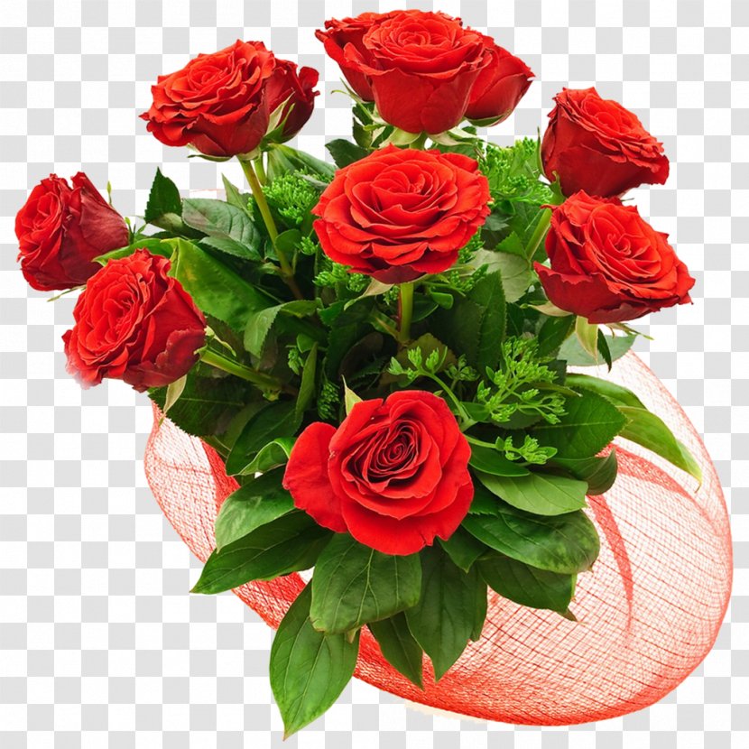 Garden Roses Vendor Artikel Shop Price - Cut Flowers - Rose Family Transparent PNG