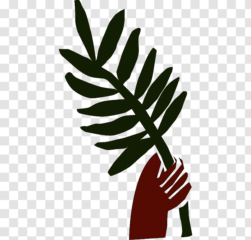 Leaf Plant Tree Flower Hand Transparent PNG