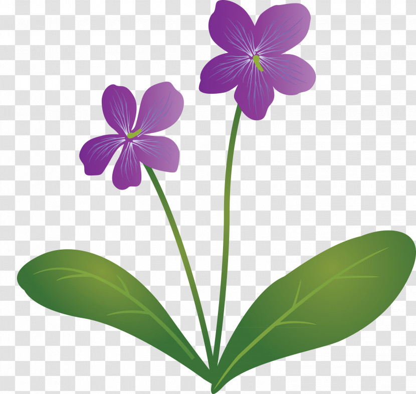 Violet Flower Transparent PNG