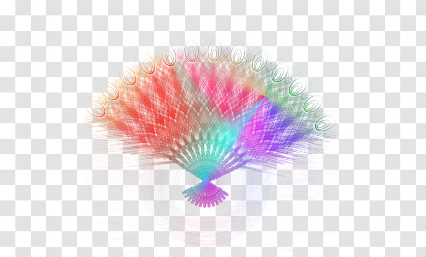Feather Peafowl Bird - Pattern - Peacock Fan Transparent PNG