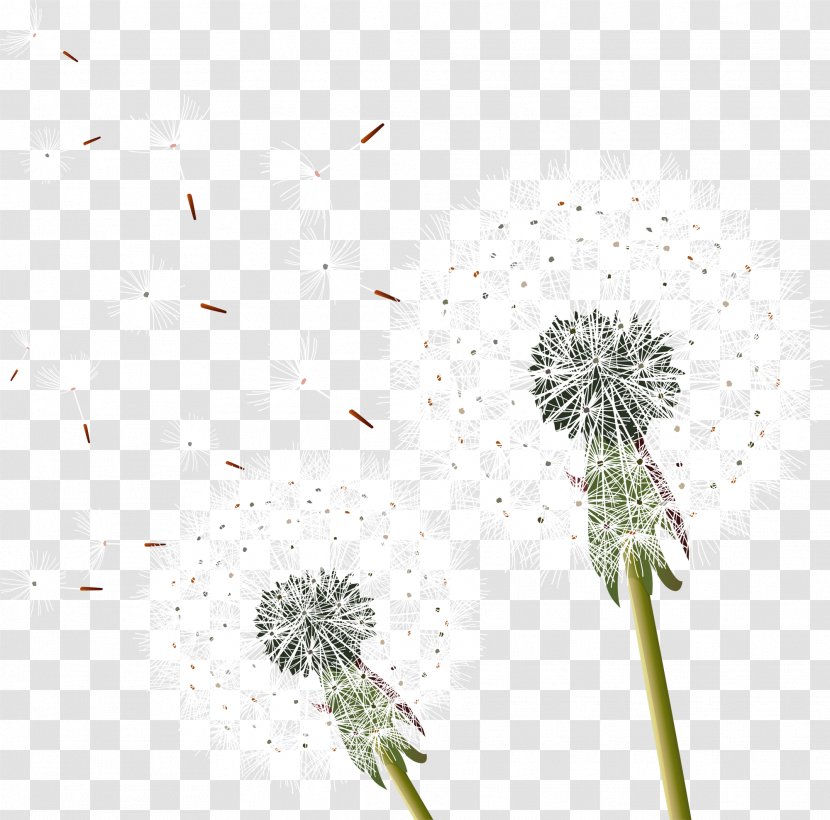 Common Dandelion - Flower - Fly Away Transparent PNG
