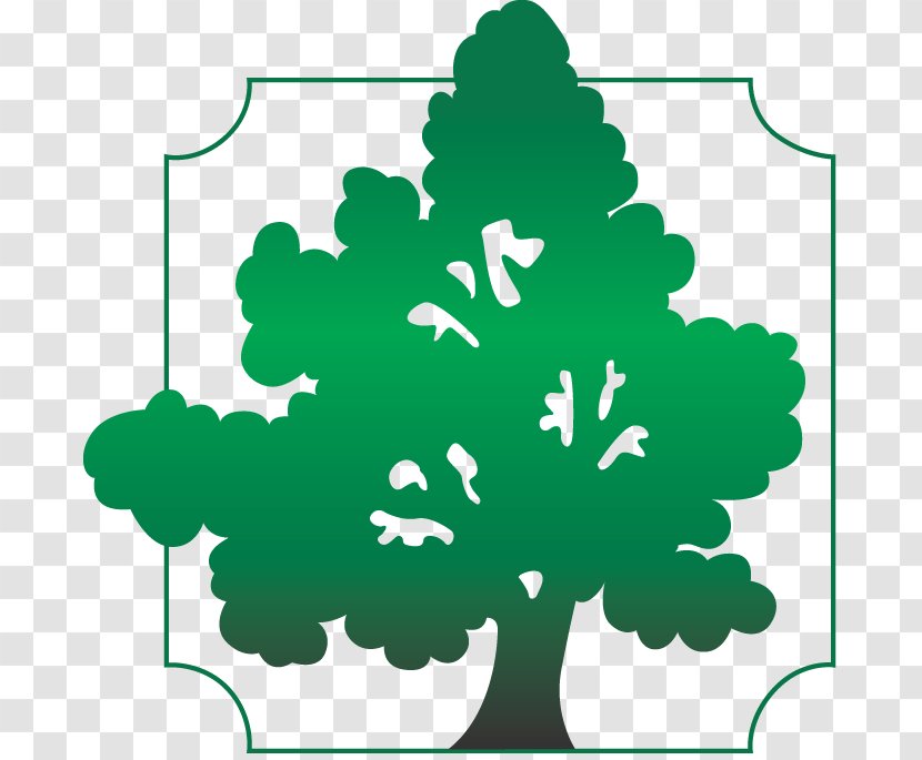 Baptists Southern Baptist Convention Tree .org Clip Art - Flower - Flowering Plant Transparent PNG