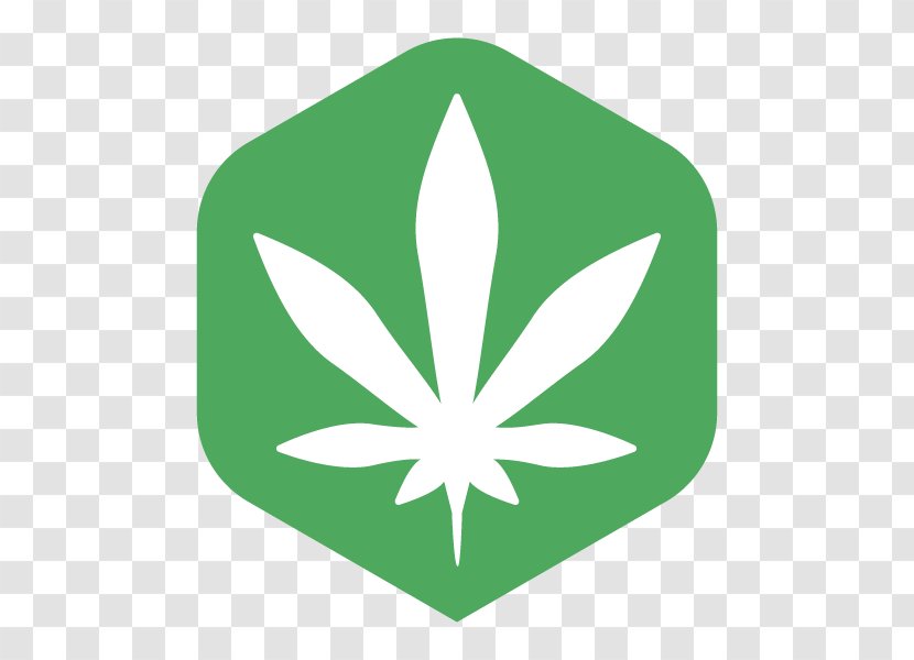 Cannabis Smoking Marijuana Cannabidiol Shop - Green Transparent PNG