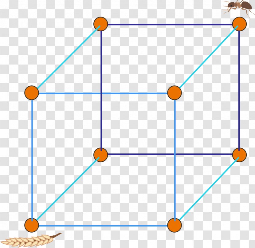 Line Point Triangle - Symmetry Transparent PNG