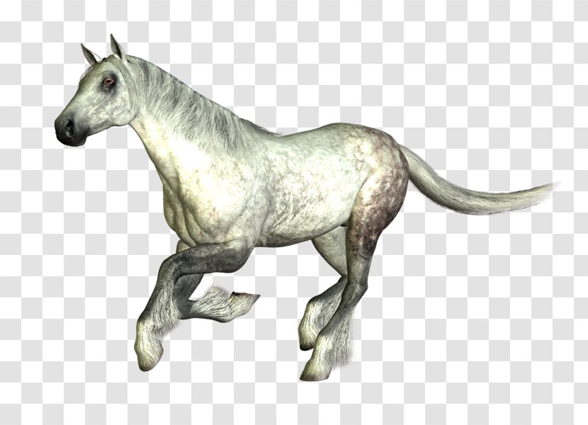 Mustang Stallion Mare Mane PhotoScape - Horse - Cabal Transparent PNG
