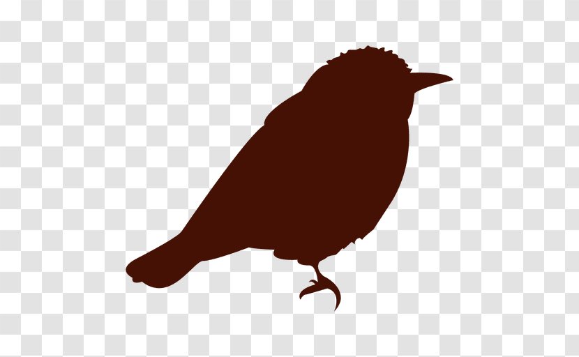 Silhouette Songbird Wren Drawing - Bird Transparent PNG