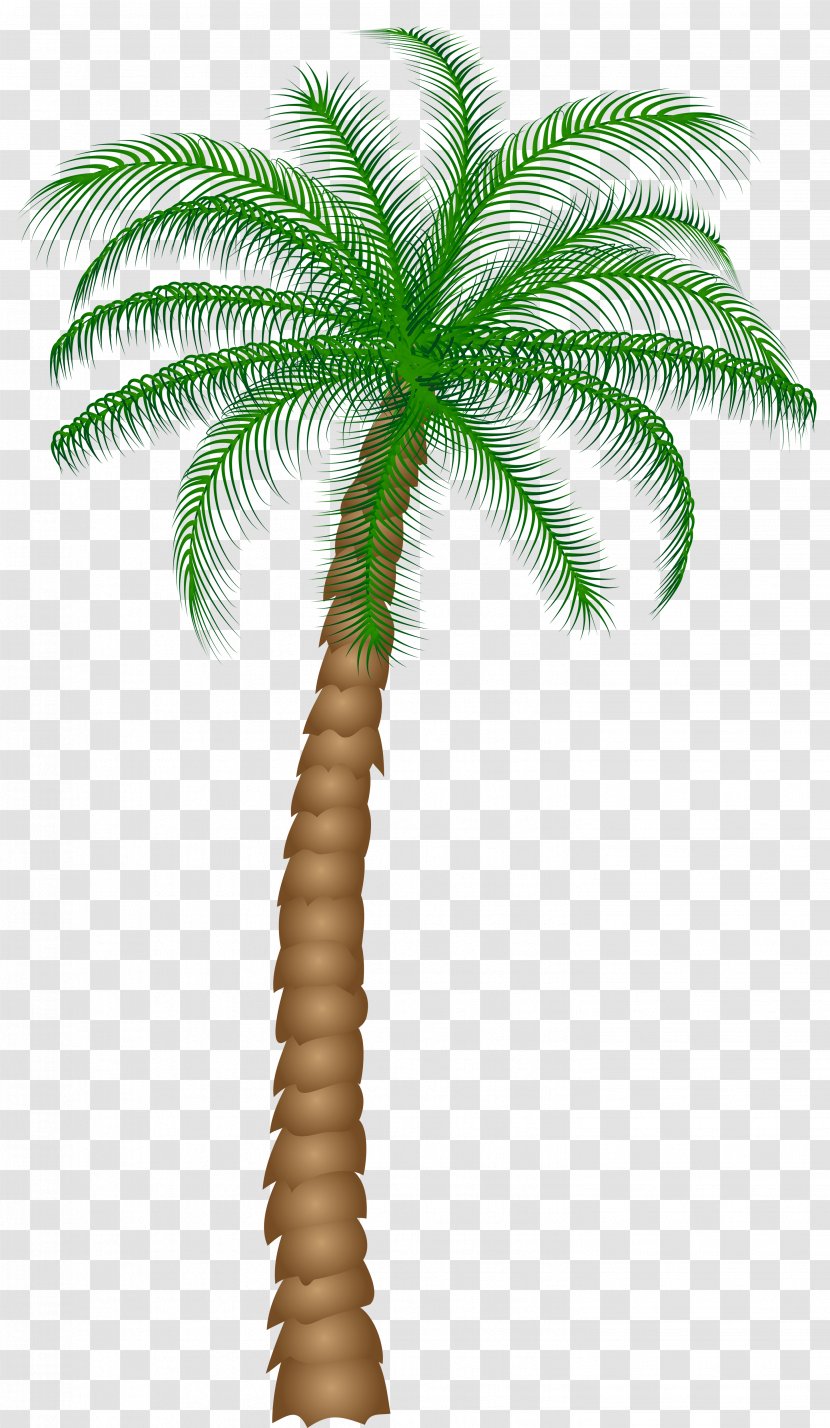 Arecaceae Tree Clip Art - Flowerpot - Palm Clipart Transparent PNG