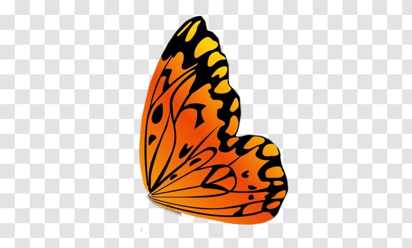 Monarch Butterfly Insect Clip Art Transparent PNG
