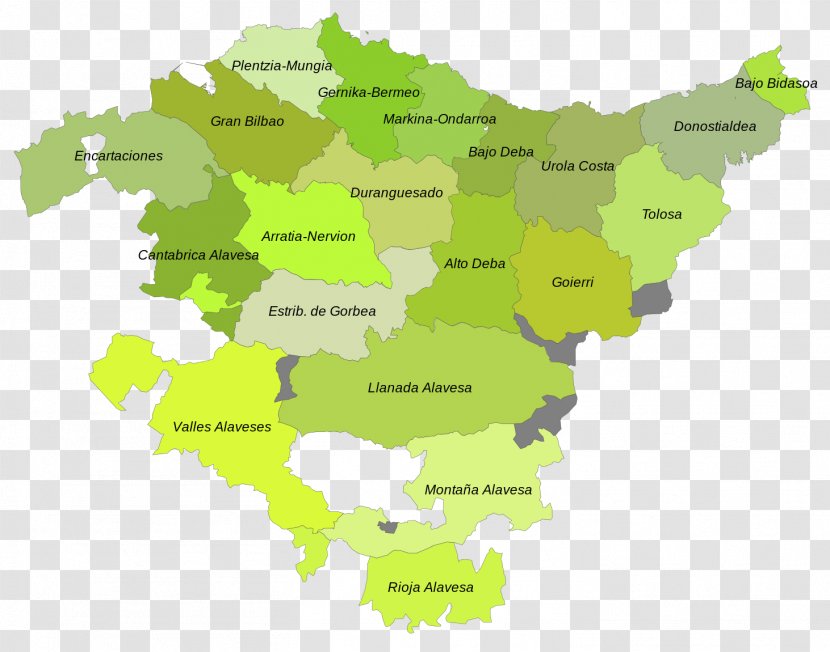 Comarcas Of The Basque Country Gipuzkoa World Map - Area Transparent PNG