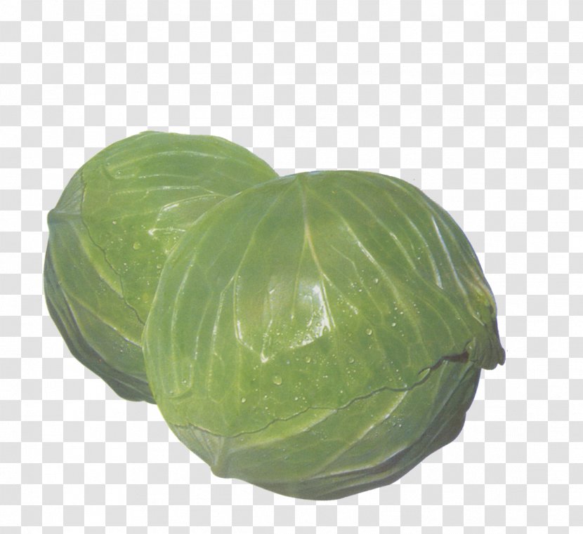 Cabbage Vegetable - Fruit Transparent PNG