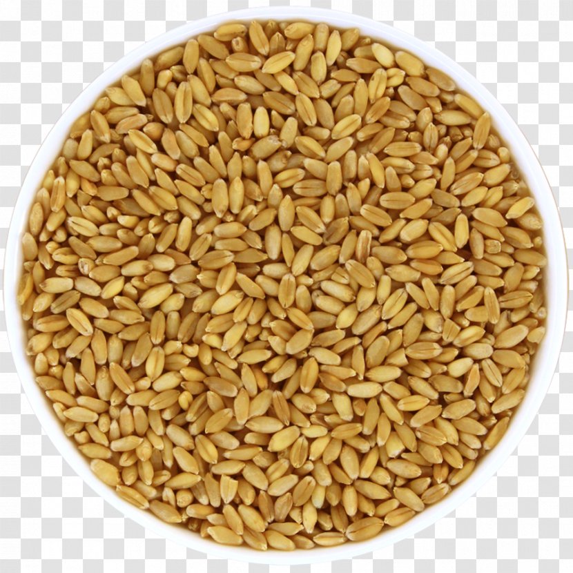Oat Organic Food Whole Grain Cereal - Farm Transparent PNG