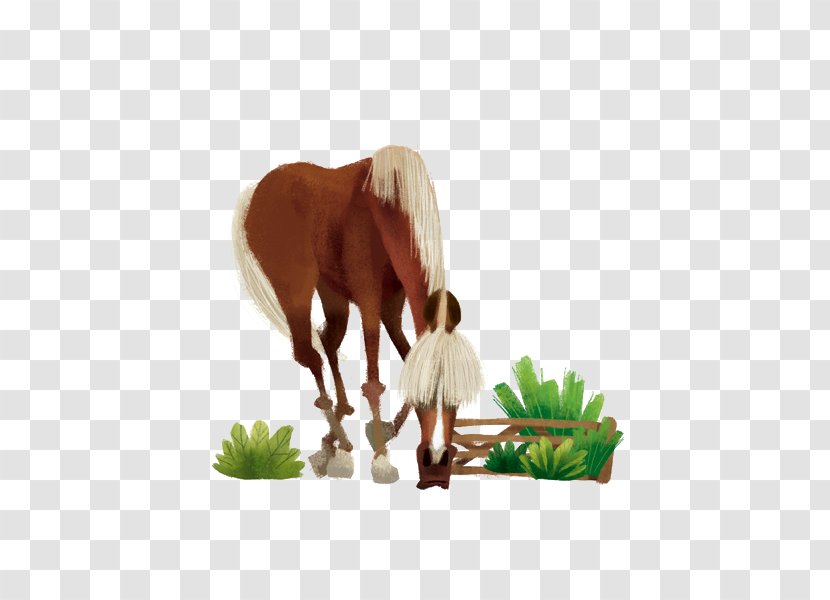Pony Horse Cartoon Illustration - Livestock - Cow Transparent PNG