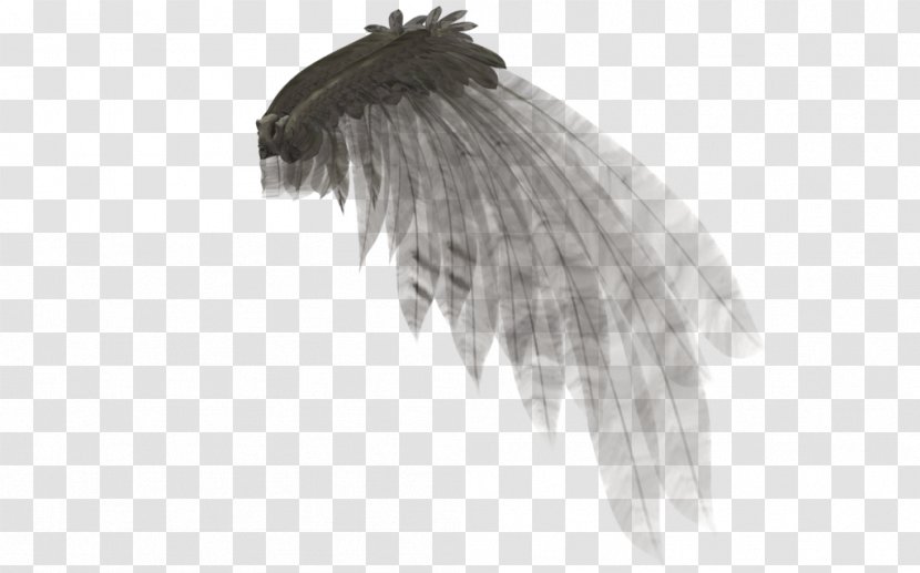 Angel Wing Rendering - Black And White Transparent PNG