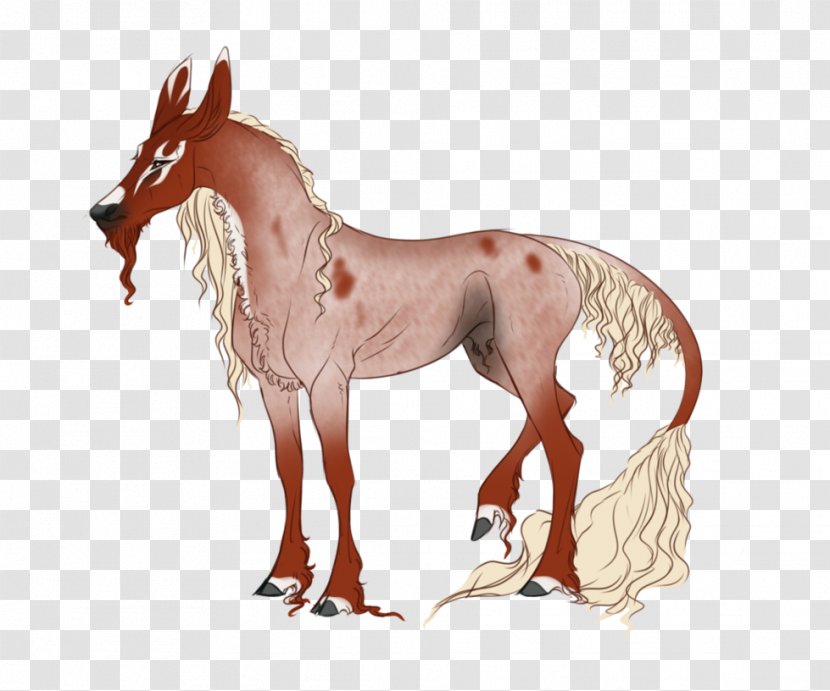 Mule Foal Stallion Mare Colt - Donkey Transparent PNG