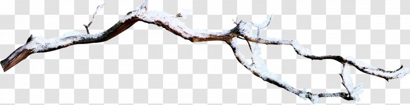 Branch Snow - Tree Transparent PNG