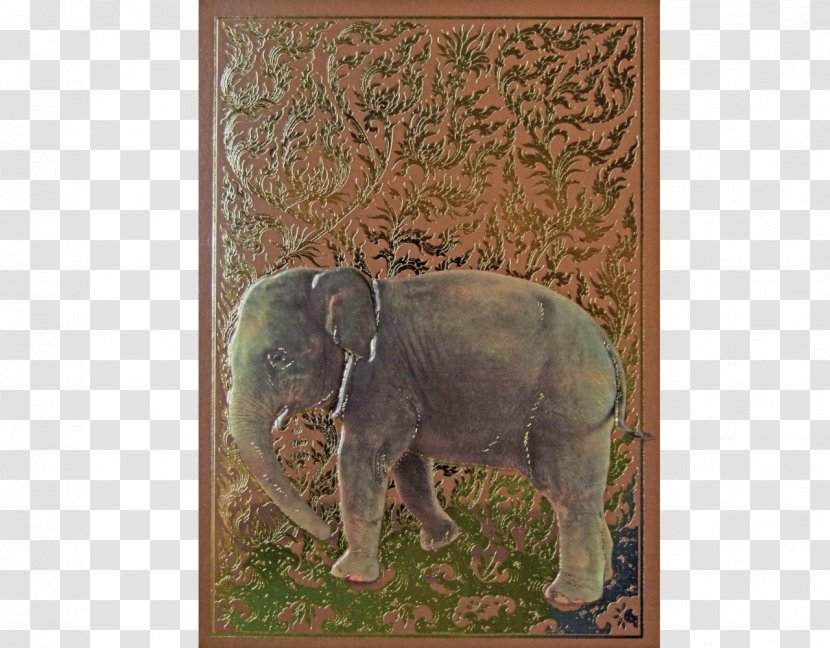 Indian Elephant African Wildlife Fauna Curtiss C-46 Commando - Grass - Special Birthday Card Transparent PNG