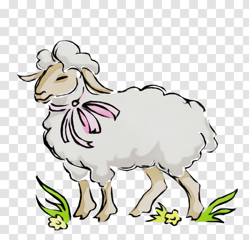 Sheep Sheep Goat-antelope Goats Cow-goat Family Transparent PNG