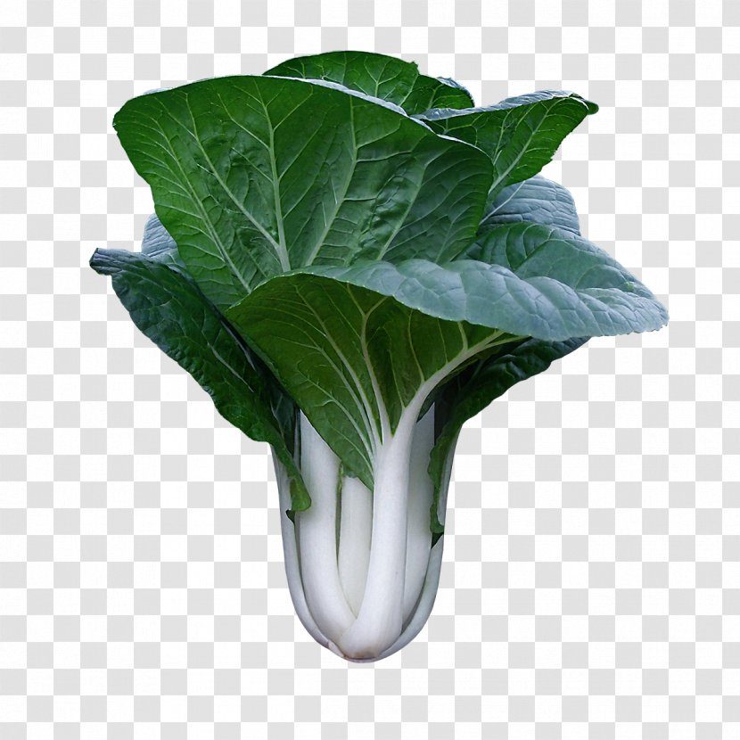 Chard Spring Greens Komatsuna Choy Sum Leaf Vegetable - Bok - Cabbage Transparent PNG