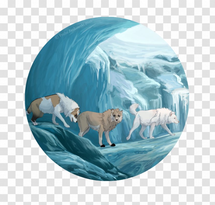 Marine Mammal Carnivora - Organism - Ice Cave Transparent PNG