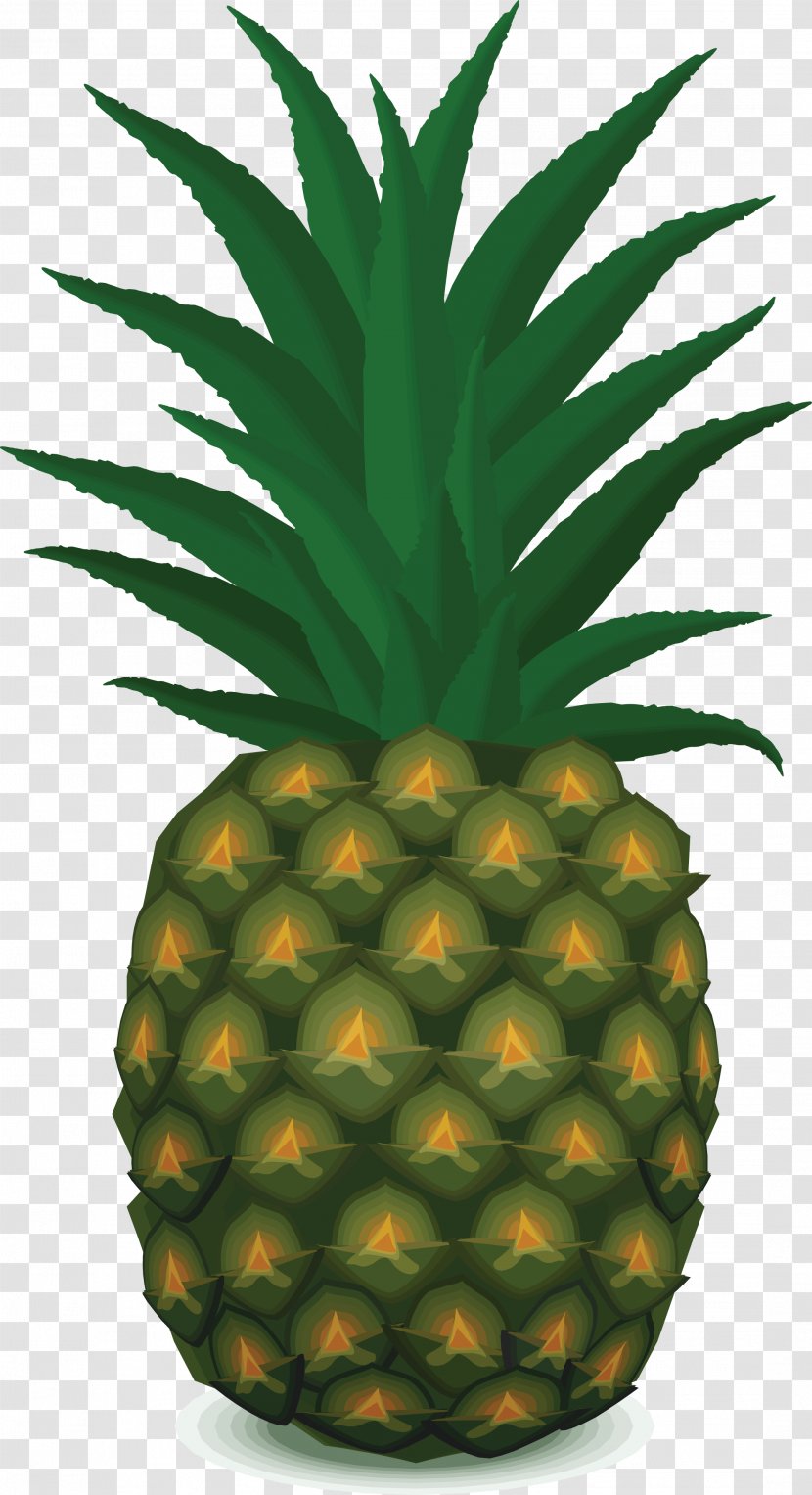 Pineapple Fruit Salad Clip Art - Bromeliaceae - Image Download Transparent PNG