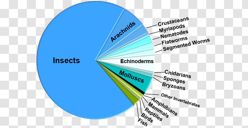 Pie Chart Insect Biology Species Diversity - Bacteria Under Microscope Transparent PNG