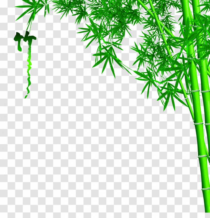 Bamboo Wall 3D Film Mural Wallpaper - Phyllostachys Heteroclada Transparent PNG