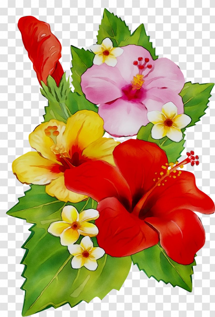 Rosemallows Cut Flowers Floral Design Flower Bouquet - Rajput - Plant Transparent PNG