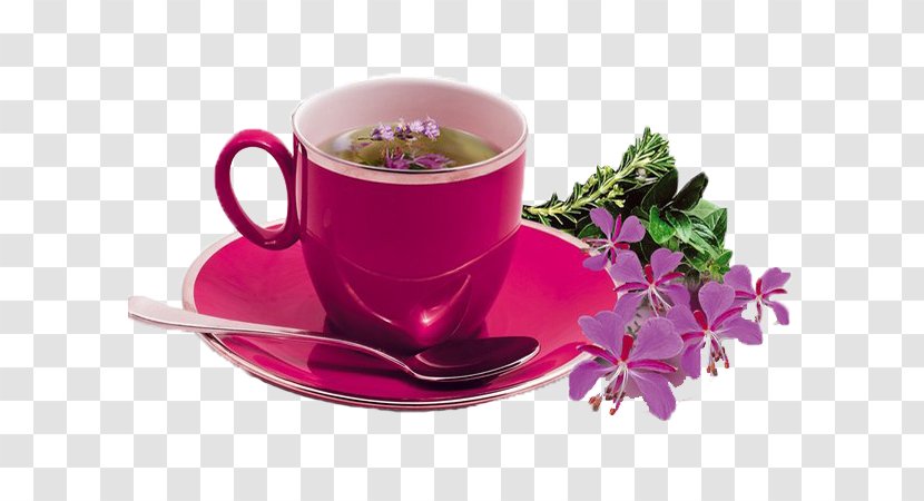 Earl Grey Tea Coffee Cup Saucer - Desktop Metaphor Transparent PNG