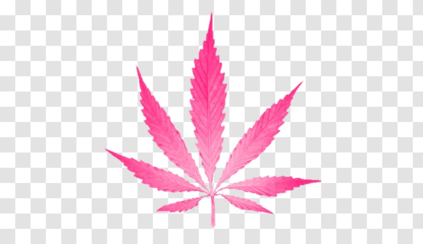 Cannabis Leaf Hemp Spots Clip Art - Maple Transparent PNG