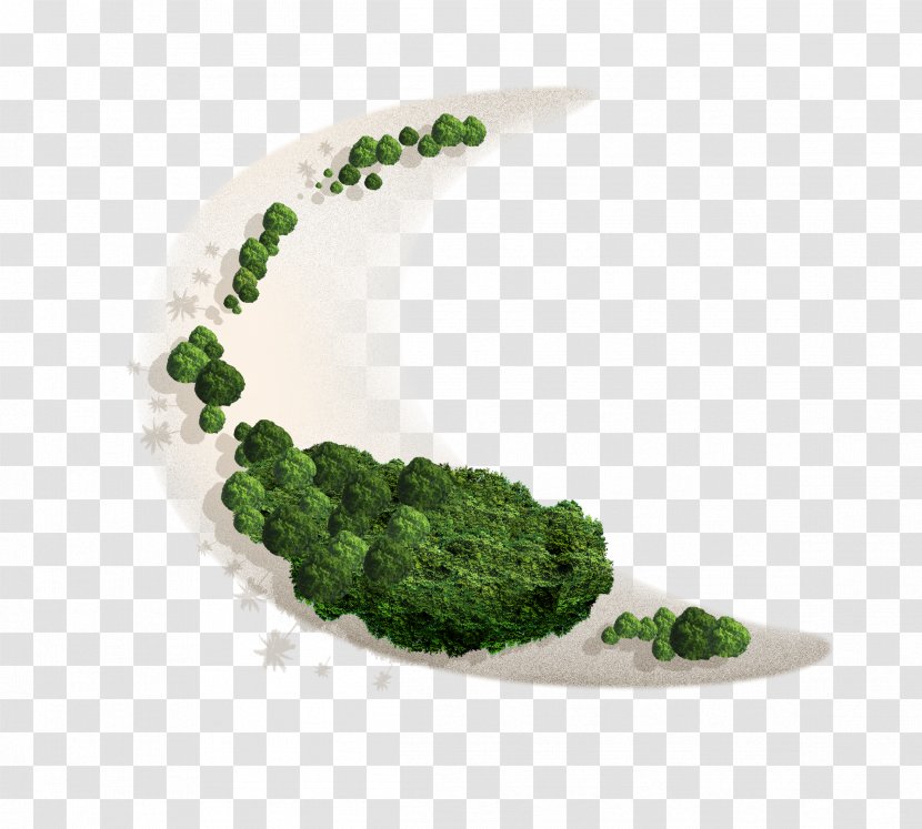 Island Beach Icon - Green - Crescent Transparent PNG