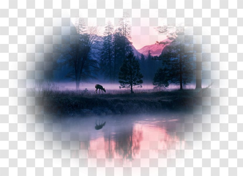 Desktop Wallpaper Deer Landscape Painting Sunset Transparent PNG