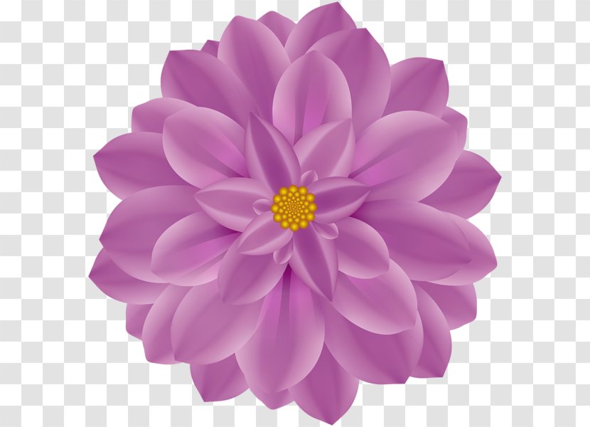 Dahlia Flower Clip Art - Violet Transparent PNG