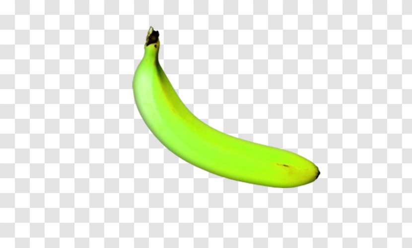 Banana Yellow - Not Ripe Transparent PNG
