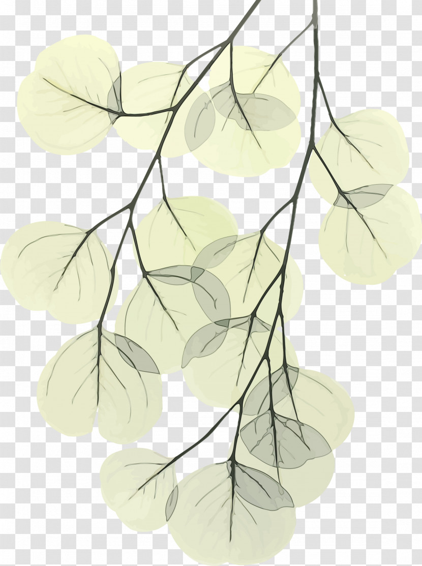 Leaf Branch Plant Line Tree Transparent PNG