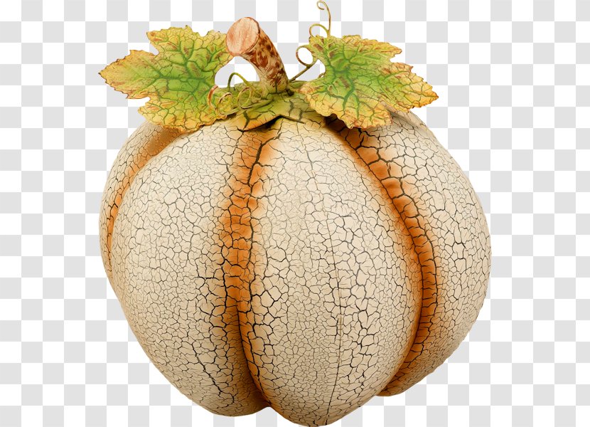 Pumpkin Cucurbita Winter Squash - Commodity Transparent PNG