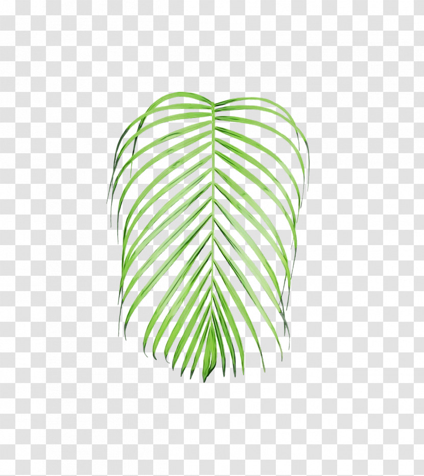 Leaf Green M-tree Line Meter Transparent PNG