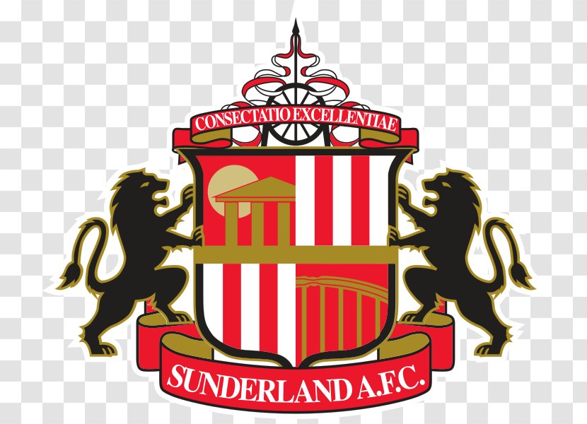 Sunderland A.F.C. EFL Championship Premier League Reading F.C. - Lewis Grabban Transparent PNG