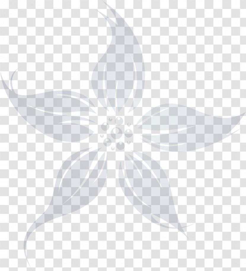 Petal Line White Symmetry Leaf - Plant Transparent PNG