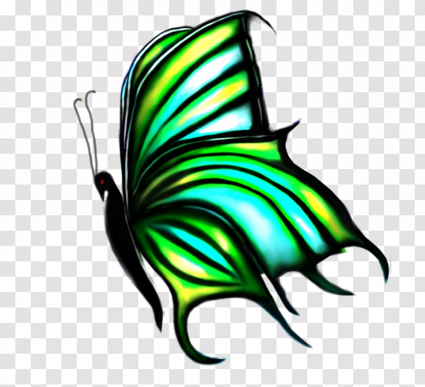 Butterfly Insect Wing Clip Art - Organism Transparent PNG