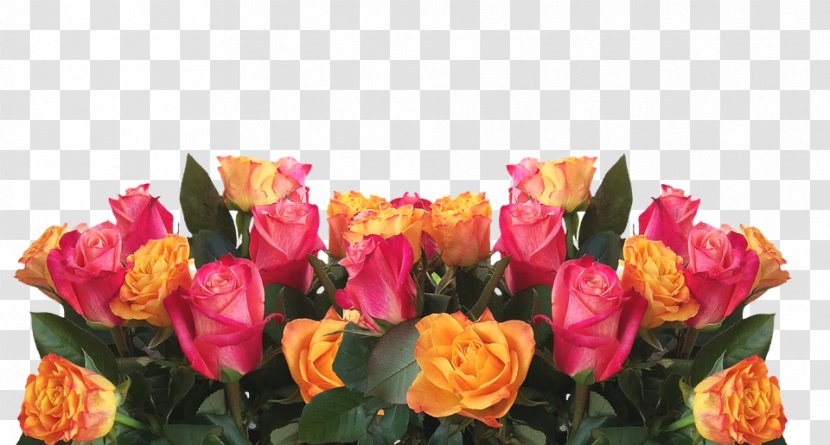 Garden Roses Flower Color Pink - Bouquet - Rose Transparent PNG
