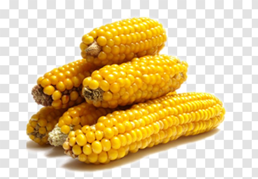 Corn On The Cob Maize Popcorn Kebab Vegetable Transparent PNG