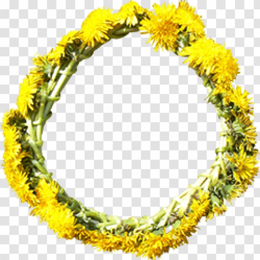 Flower Wreath Yellow Dandelion - Picture Frames - Ginger Transparent PNG