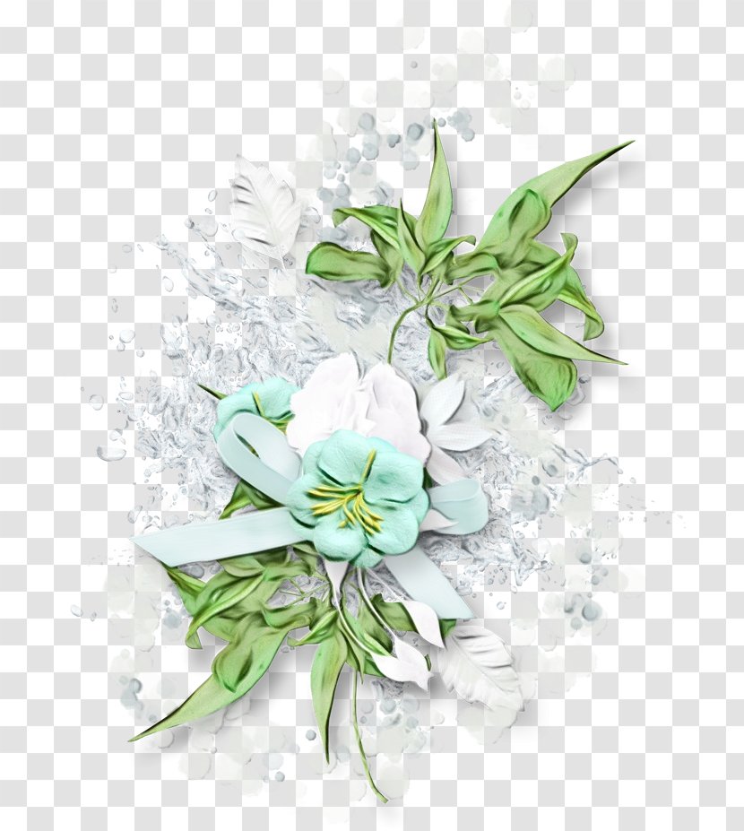 Flower Plant Flowering Petal Bouquet - Cut Flowers - Edelweiss Transparent PNG