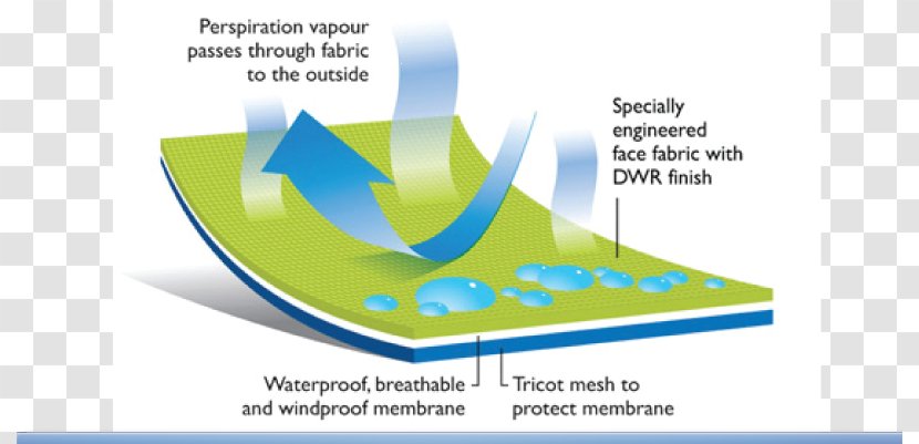 Durable Water Repellent Waterproofing Resources Sitka - Coating Transparent PNG