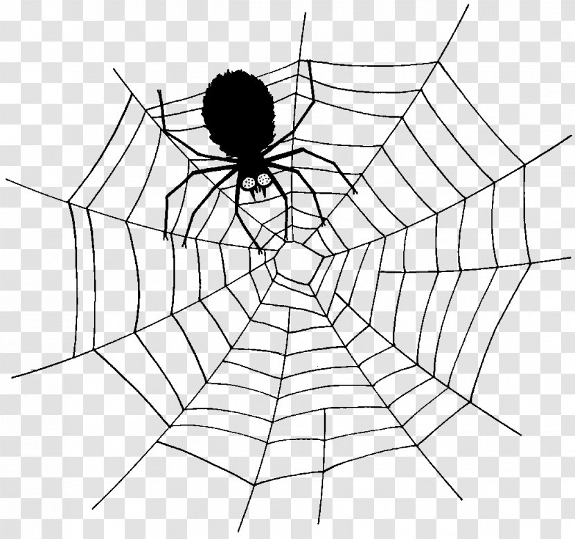 Spider Web Southern Black Widow Clip Art - Symmetry Transparent PNG
