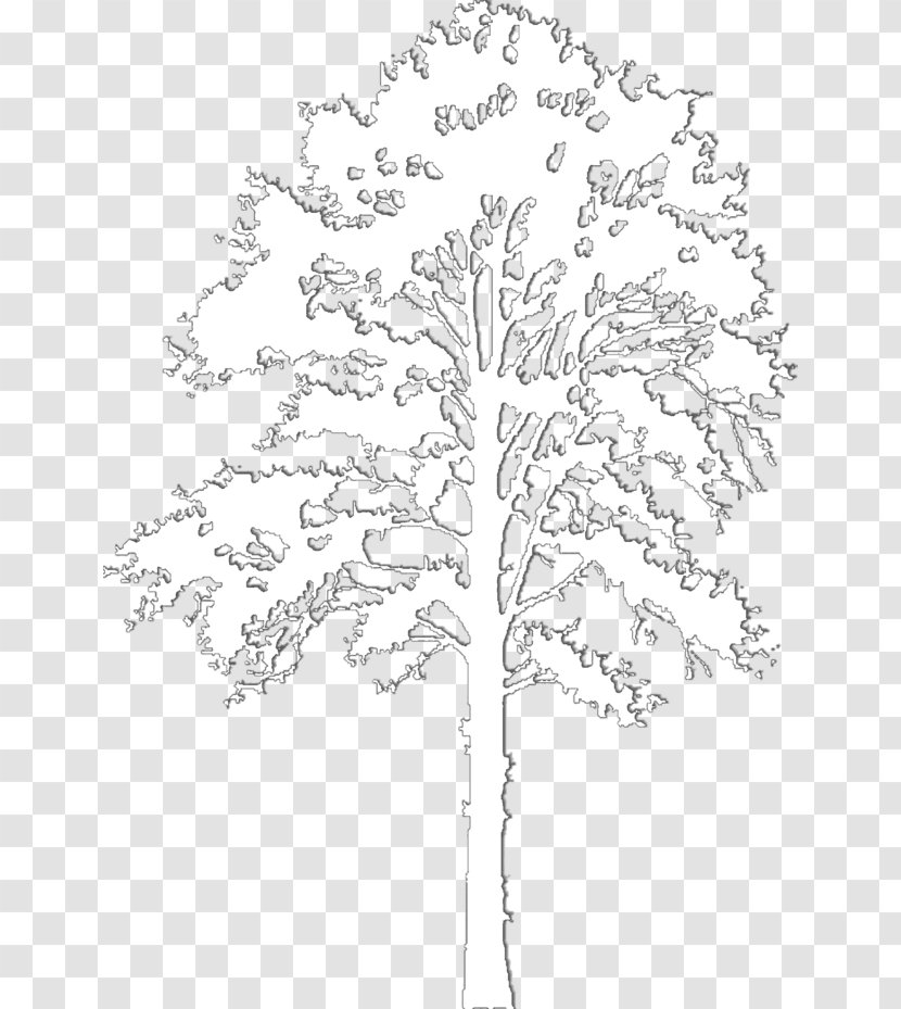 Visual Arts Floral Design - Branch - Gray Wood Transparent PNG