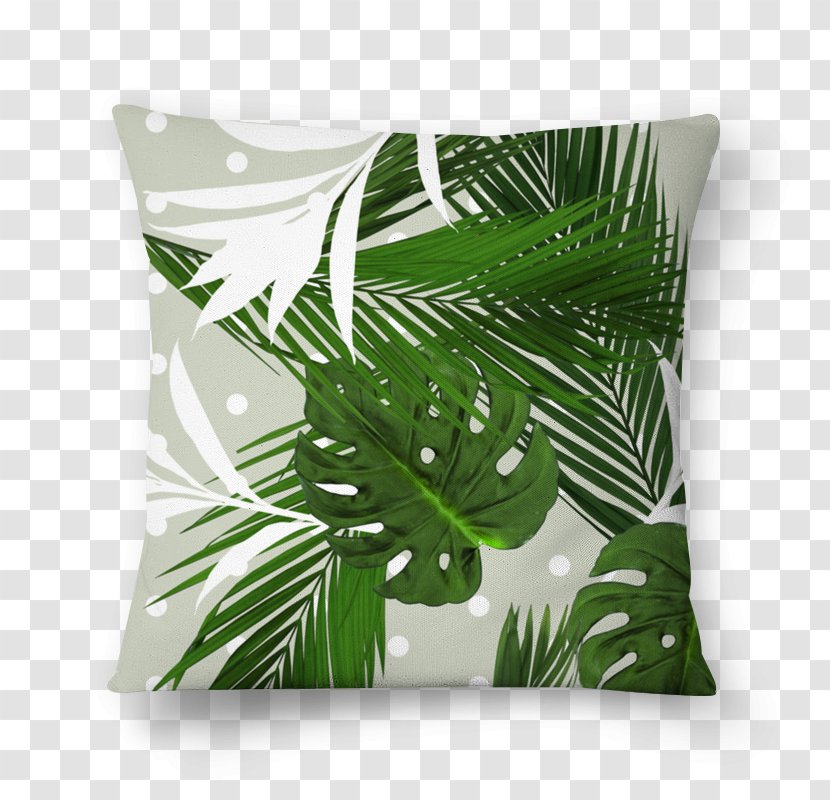 Leaf Arecaceae Tree Jungle Liana - Plant - Geranium Transparent PNG