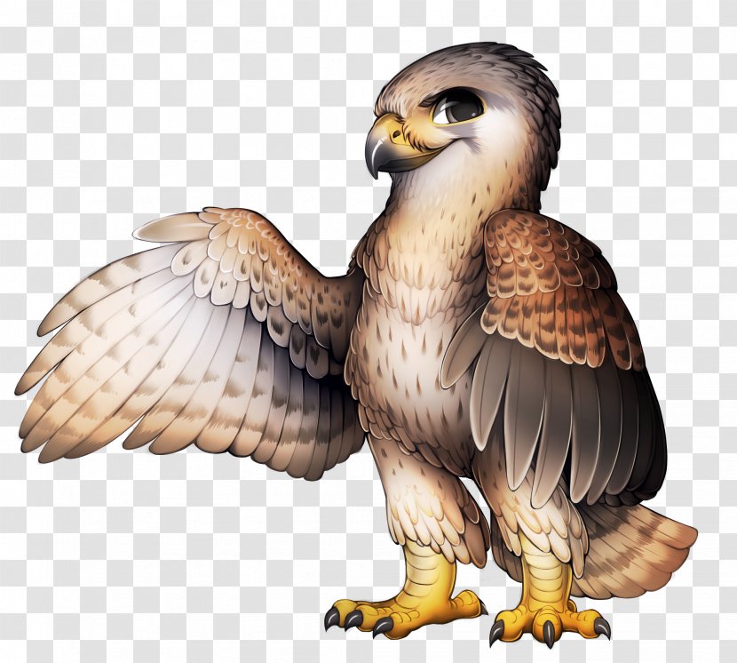 Bird Of Prey Peregrine Falcon - Web Browser - Peafowl Transparent PNG