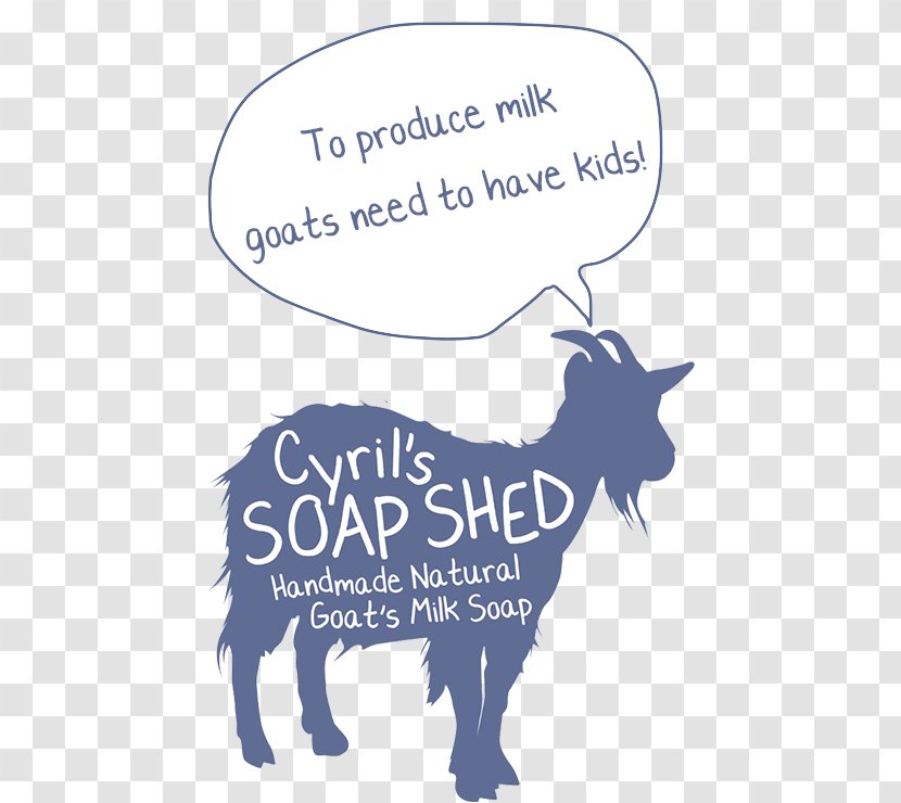 Boer Goat Cyril's Soap Shed Goats Milk Cheese Sheep - Eric Bellinger Transparent PNG